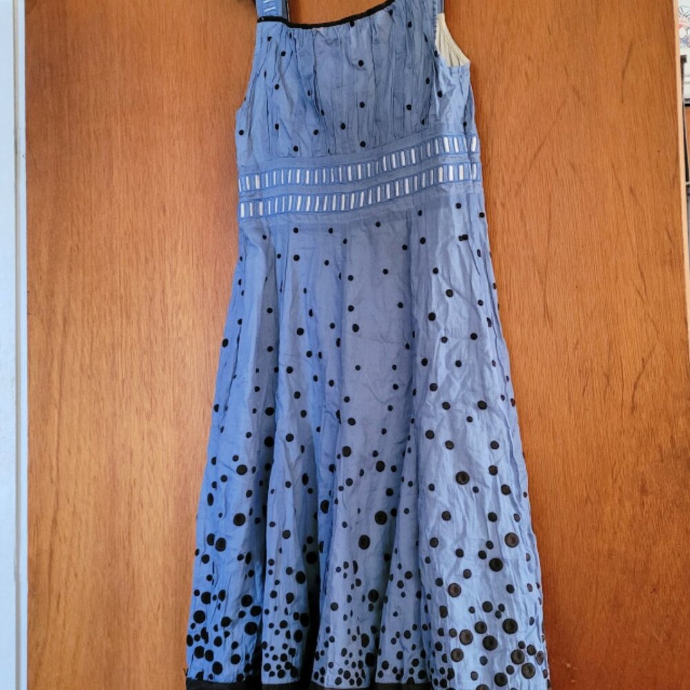 Floreat Anthropologie Blue Glass of Bubbly Polka Dot Dress 2
